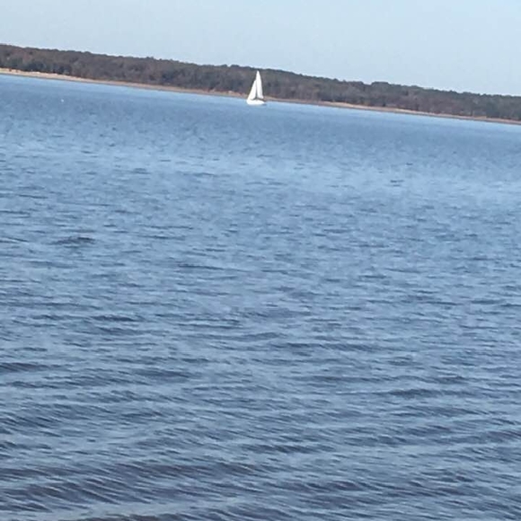 Meet your Posher, Janet - Picture 1 of 1